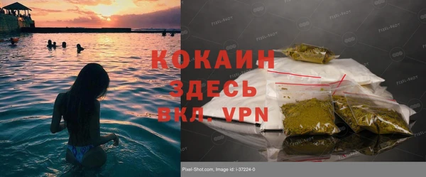 ГАЛЛЮЦИНОГЕННЫЕ ГРИБЫ Нефтегорск