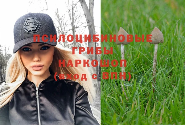 a pvp Зуевка