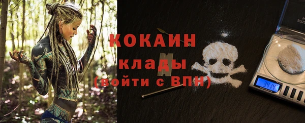 кокс Ивангород