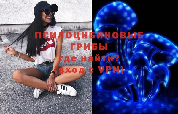 шишки Нефтекумск