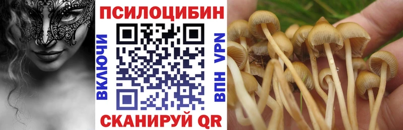 Псилоцибиновые грибы MAGIC MUSHROOMS  блэк спрут ССЫЛКА  Калтан  купить закладку 